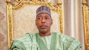Borno State Governor, Babagana Umara Zulum