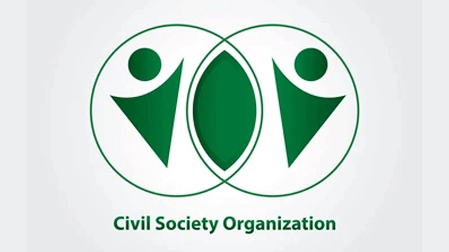 Civil Society Organisations (CSO)