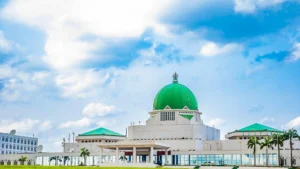 National Assembly NASS