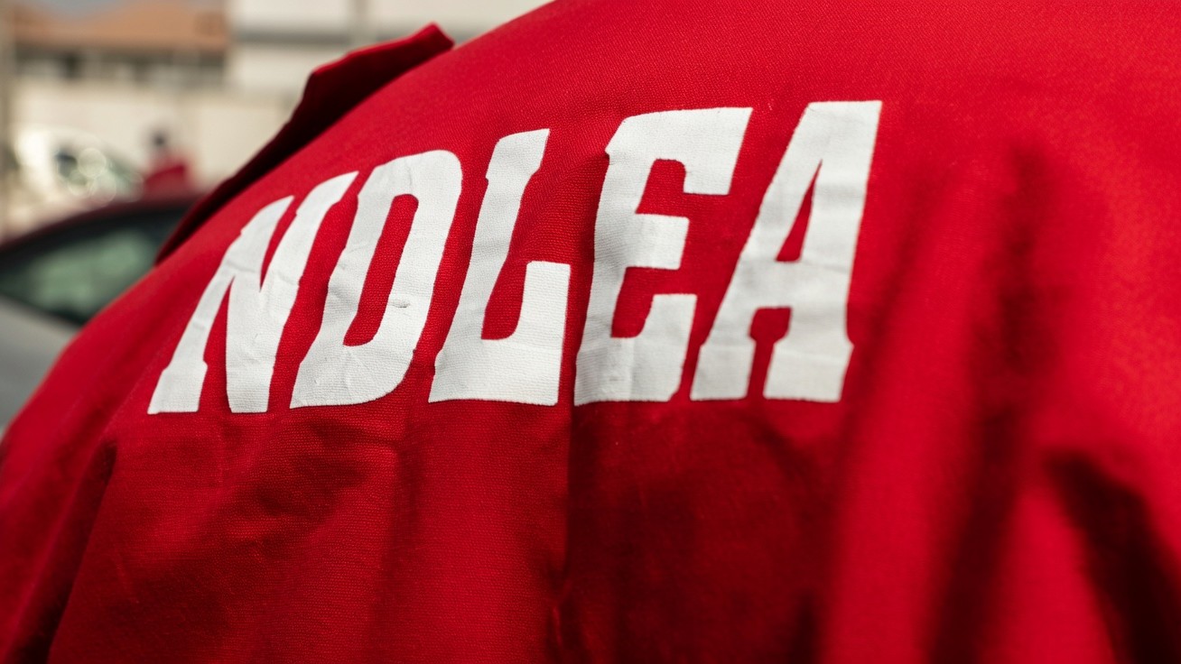 NDLEA-LOGO
