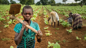 Child-labour-3