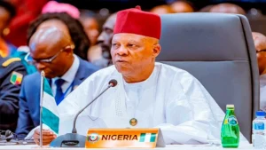 Kashim Shettima