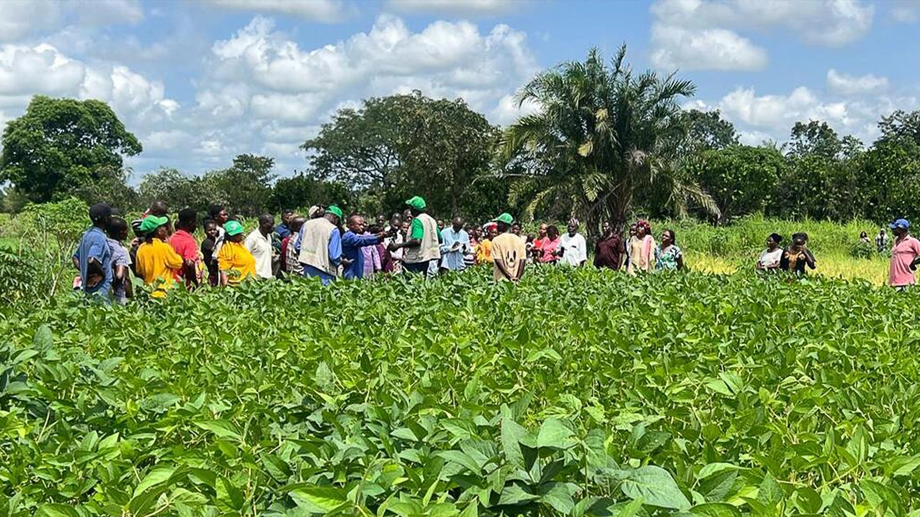 Sasakawa Group trains Benue farmers